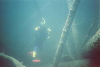 Image016_14A