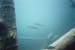 Image017_15A