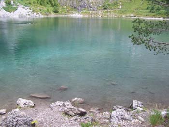 Blick_VersWald